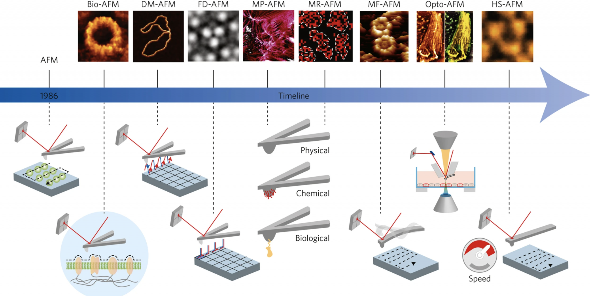 Different types of Microscopes – light microscope, electron microscope ...