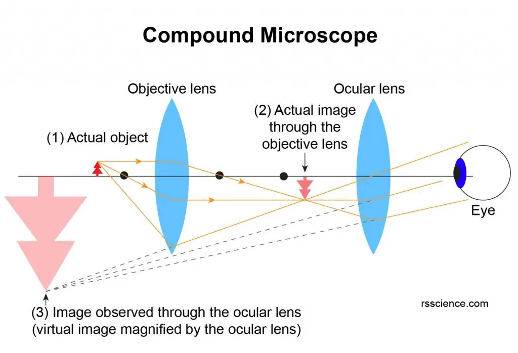 principle-of-compound-microscope