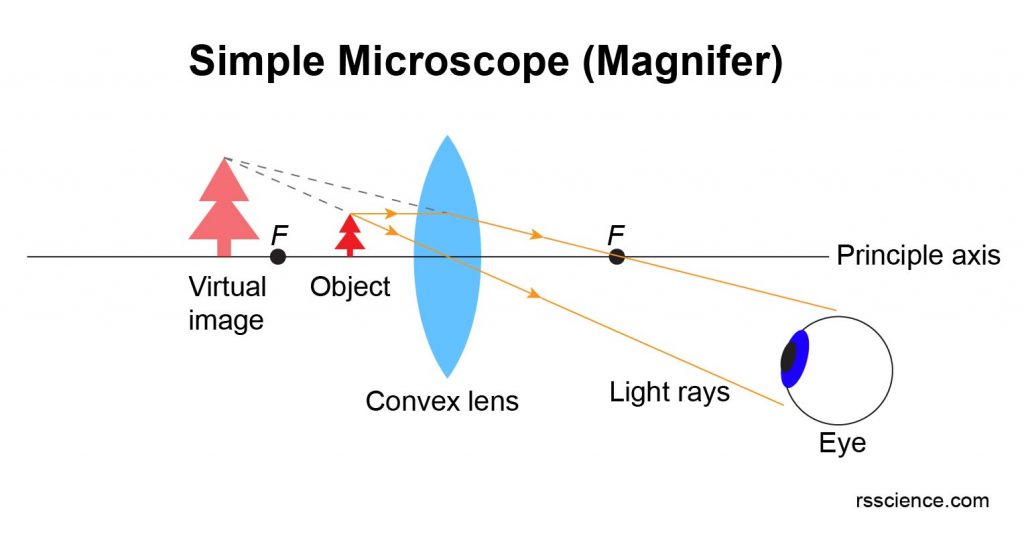 Optical Microscope Schematic Diagram