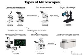 types of microscope compound digital stereo electron atom force