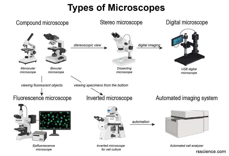 Different types of Microscopes light microscope, electron microscope