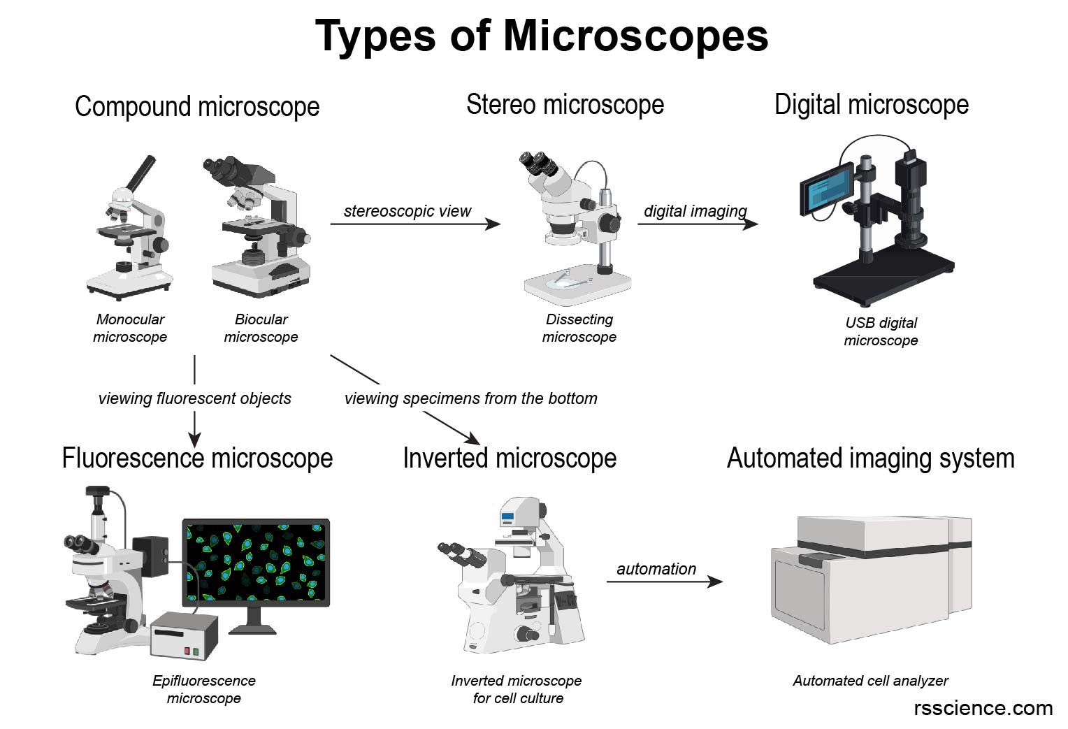 Состав цифрового микроскопа. Microscope Types. Electron microscopy. Виды микроскопов. Scanning Electron microscopy.