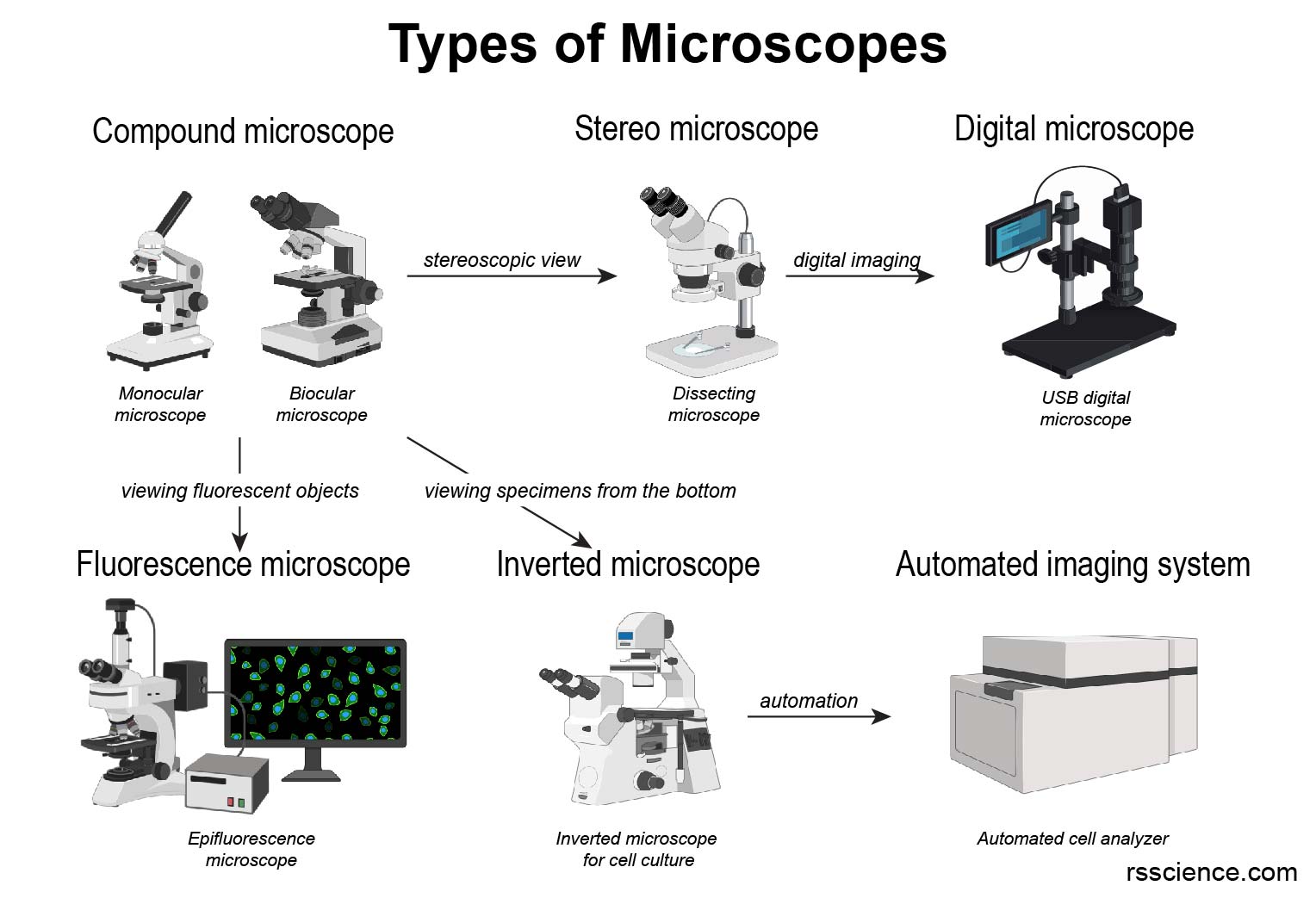 different-types-of-microscopes-light-microscope-electron-microscope