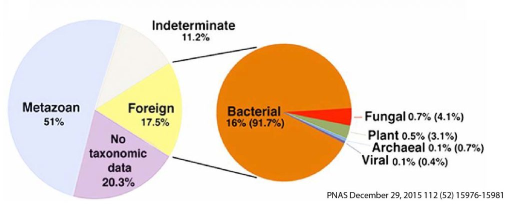 many-genes-in-Tardigrades-originated-from-other-organisms