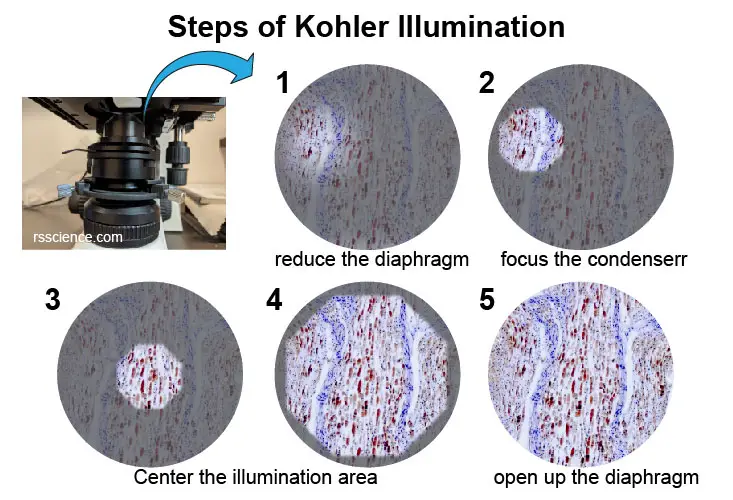 Kohler illumination cover