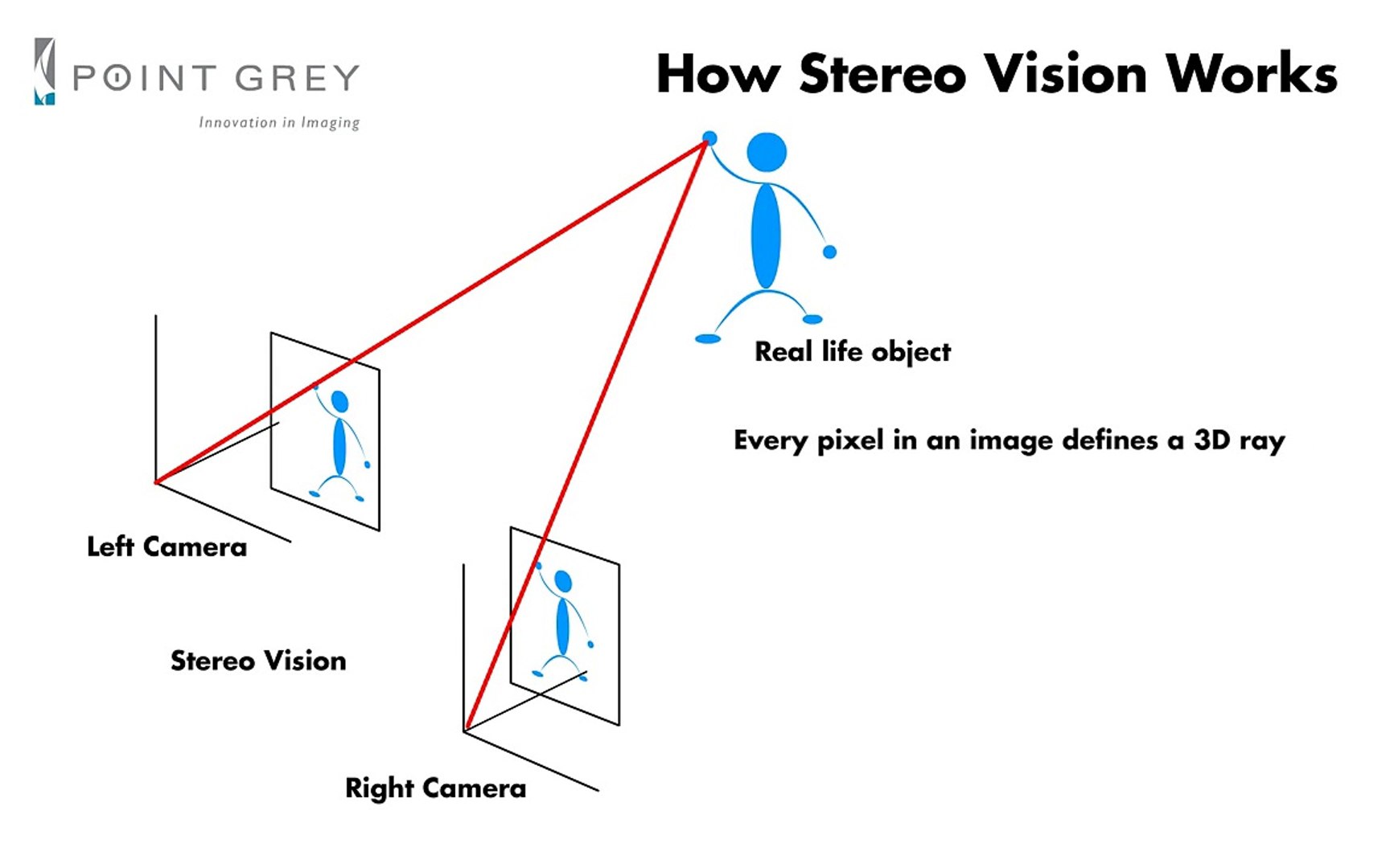 Parts of Stereo Microscope (Dissecting microscope) labeled diagram