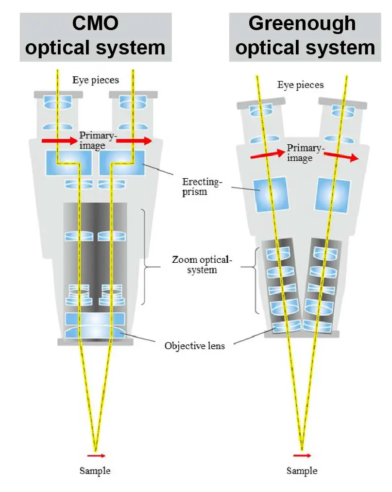 Olympus Microscope Diagram