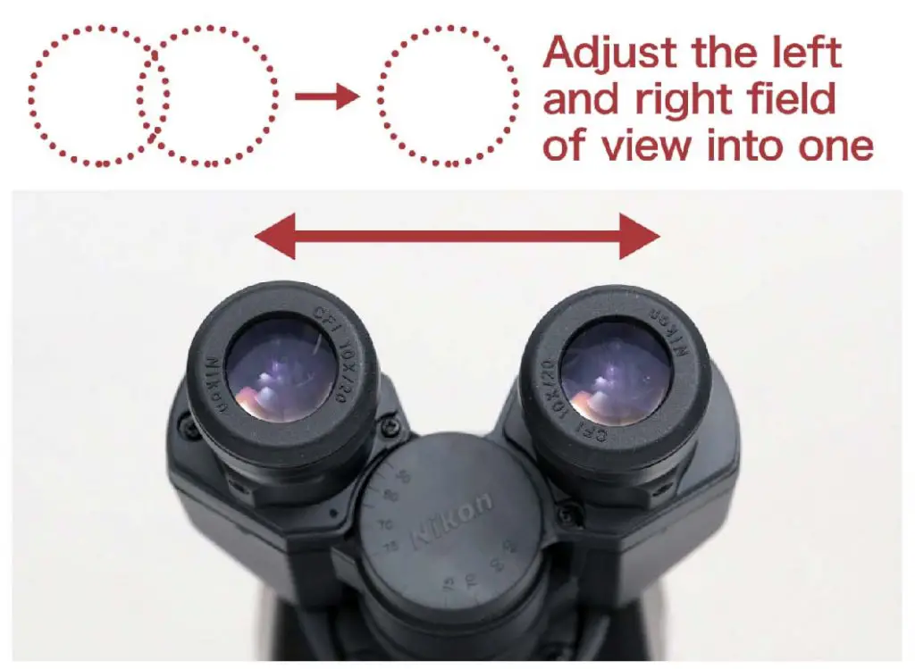 Interpupillary-Adjustment