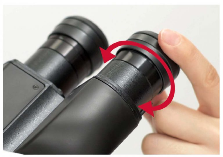 Parts of Stereo Microscope (Dissecting microscope) labeled diagram