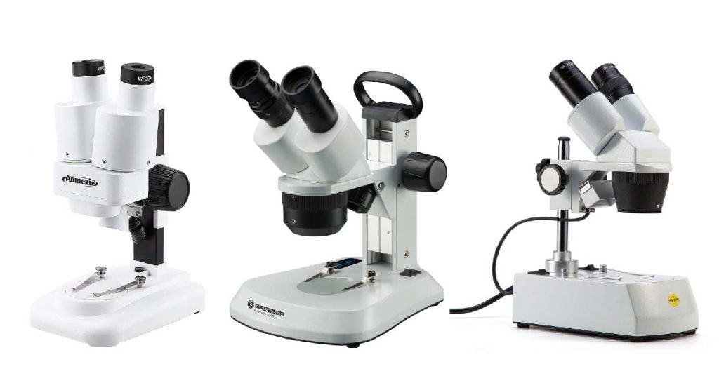 Dissecting Microscope Diagram