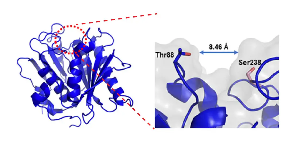 crystal-structure-of-PETase