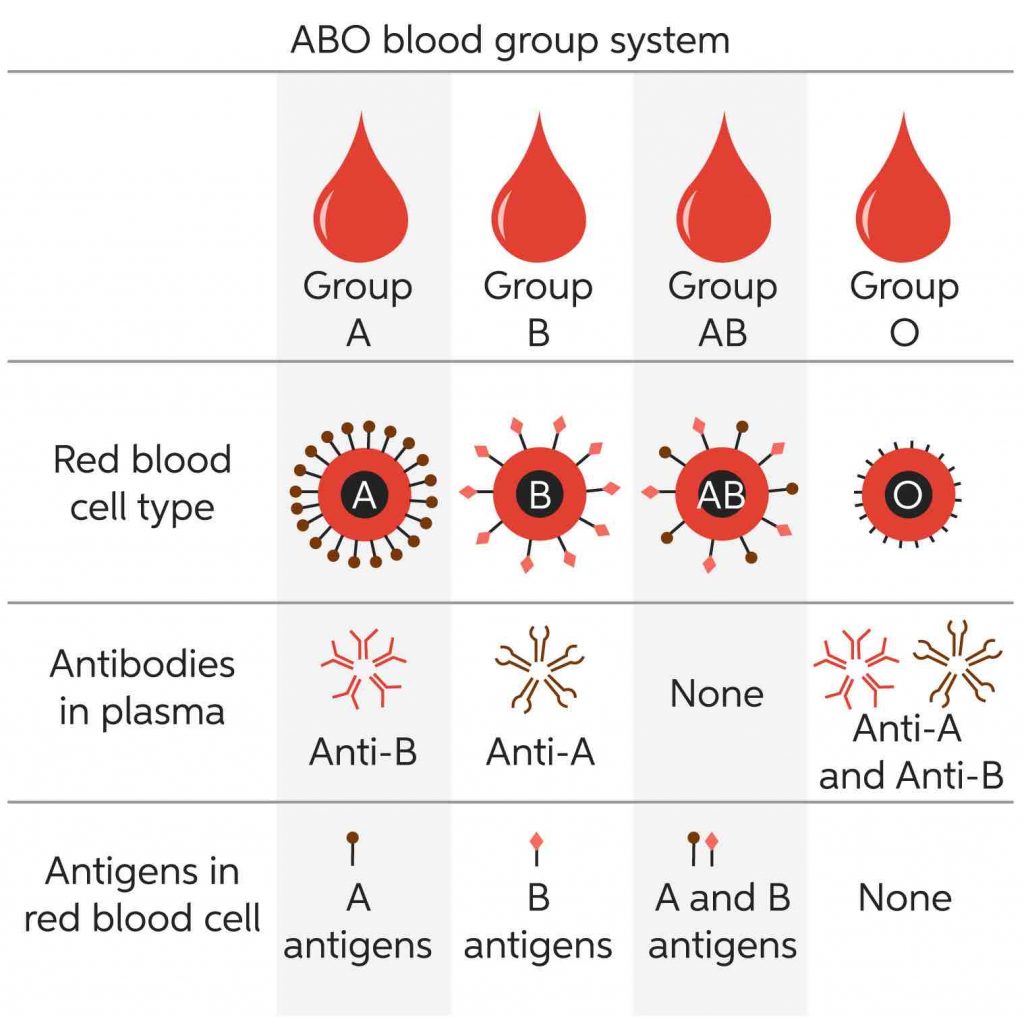 ABO-blood-group