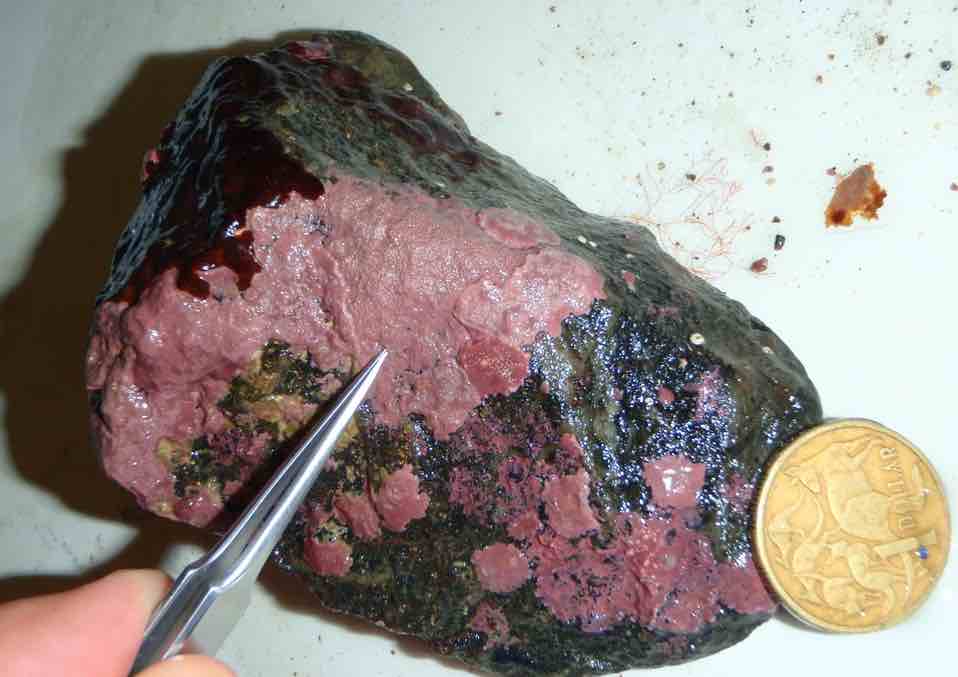 Coralline-algae-form-pinkish-blotches