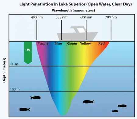 LightPenetration