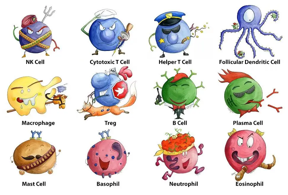 WBC_Pintest