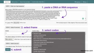 How to Read the Amino Acids Codon Chart? - Genetic Code and mRNA ...