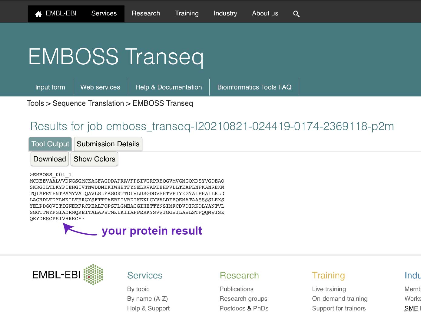 How to Read the Amino Acids Codon Chart? - Genetic Code and mRNA ...
