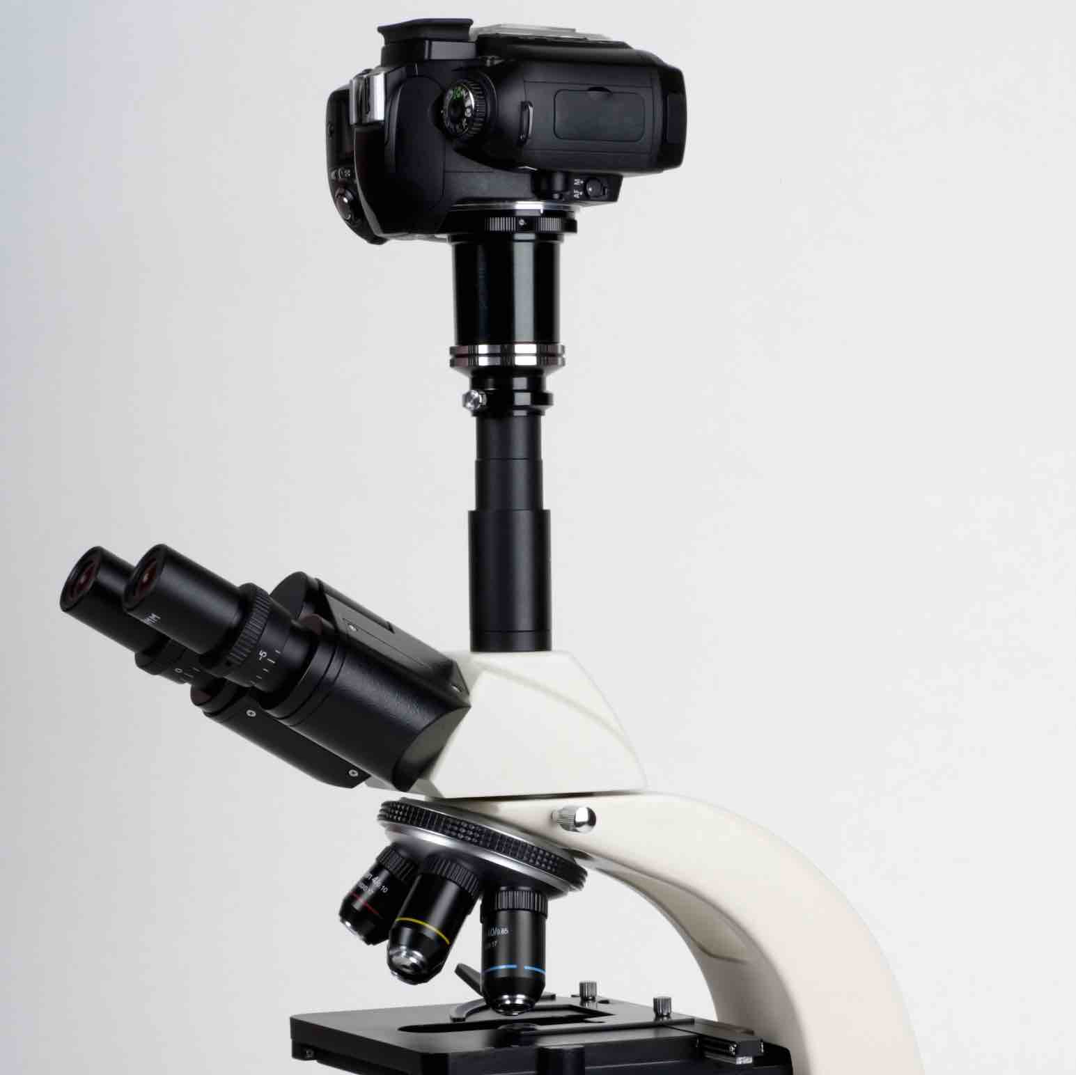 Unique Gift Ideas for Microscopes Rs' Science