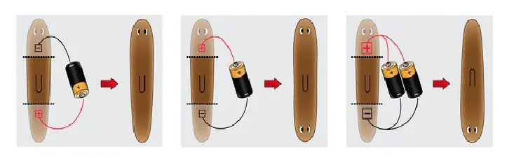 electric-field-planarian-regeneration