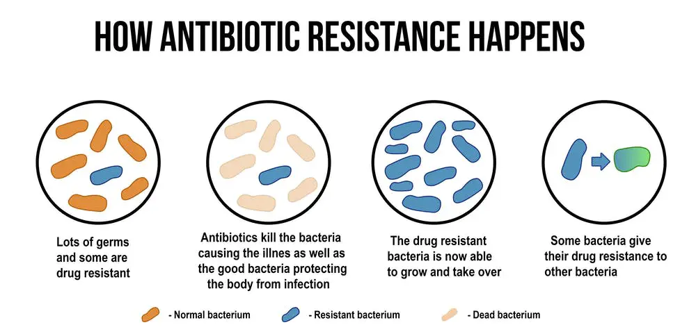 antibiotic-resistance-mechanism