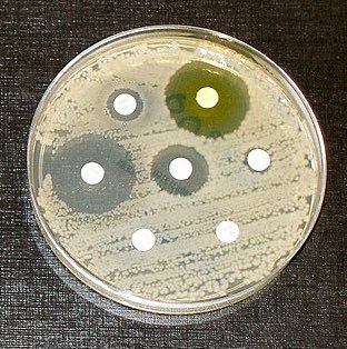 antibiotic-resistance-test