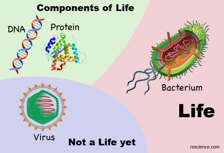 boundary-between-non-life-and-life