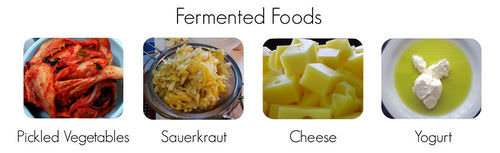 fermented-food