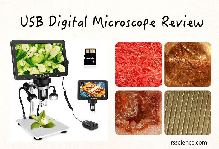 digital microscope review cover