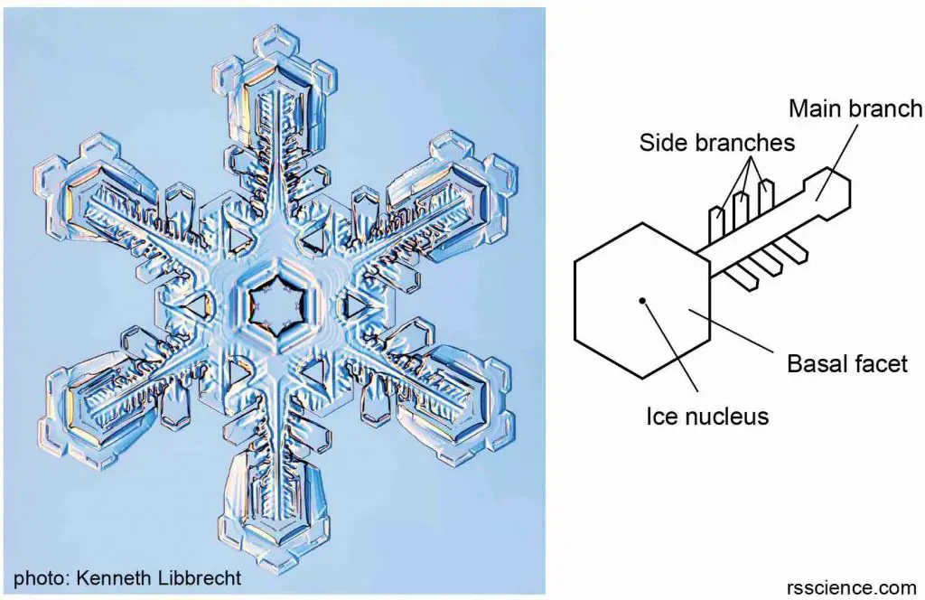Branching-snowflake-structure