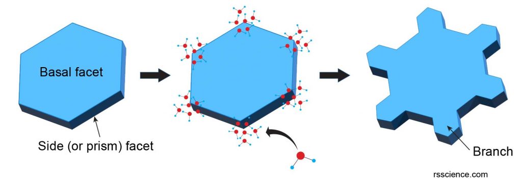 Snowflake-hexagonal-plates-side-prism2