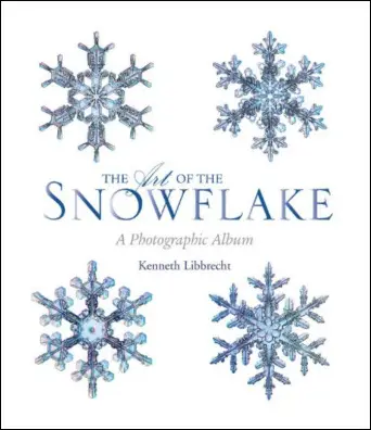 art-of-the-snowflake