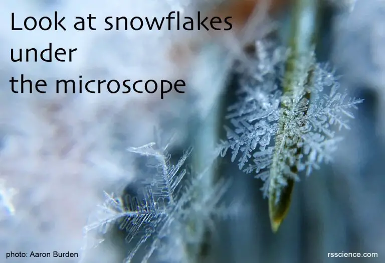 Look at snowflakes under the microscope Rs' Science