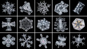 Look At Snowflakes Under The Microscope - Rs' Science