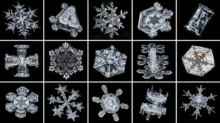 snowflakes-microscope