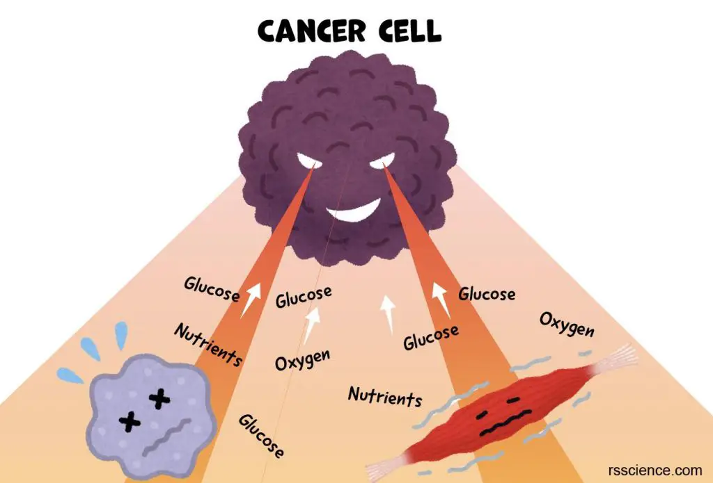 cancer-cells-take-nutrient-from-other-cells