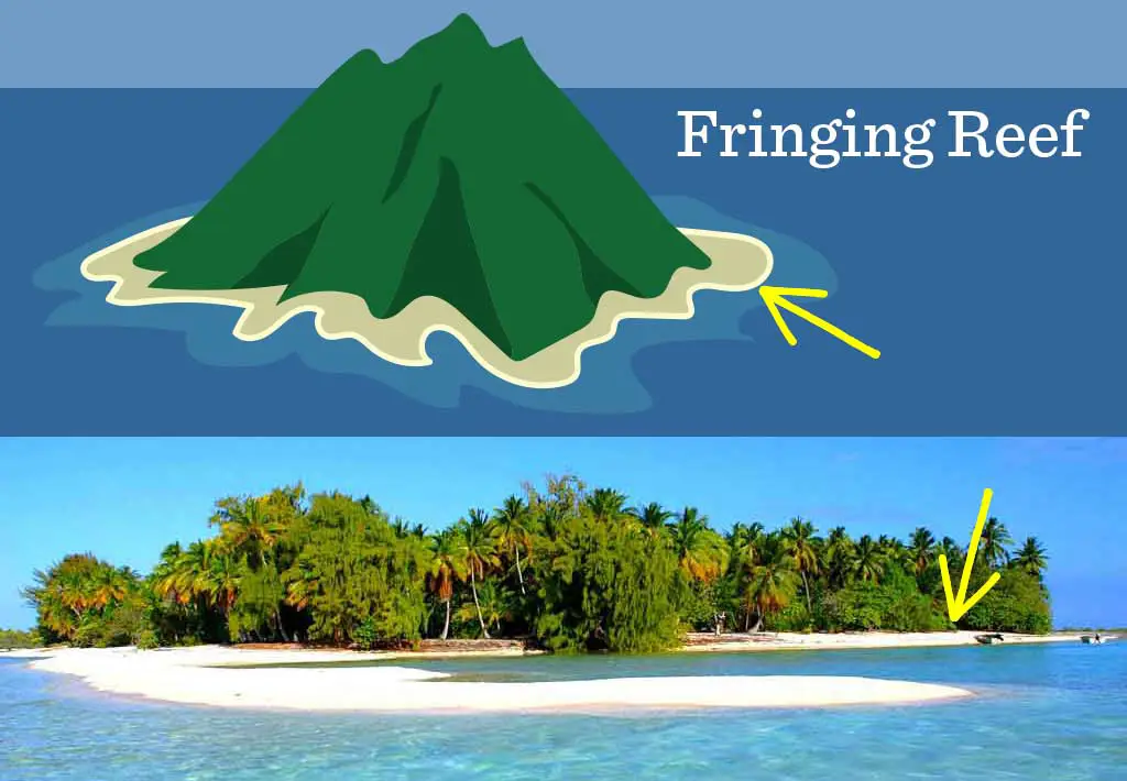 fringing-reef