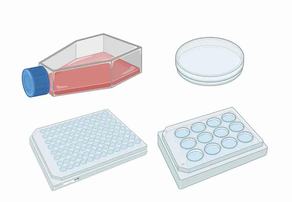 Cell culture flask dish