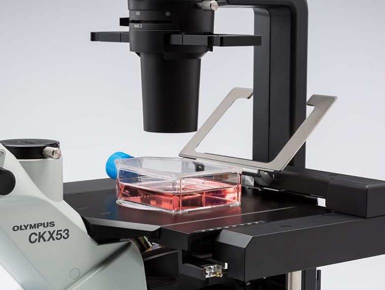 Cell Culture Basics The Foundation of Biotechnology Rs' Science