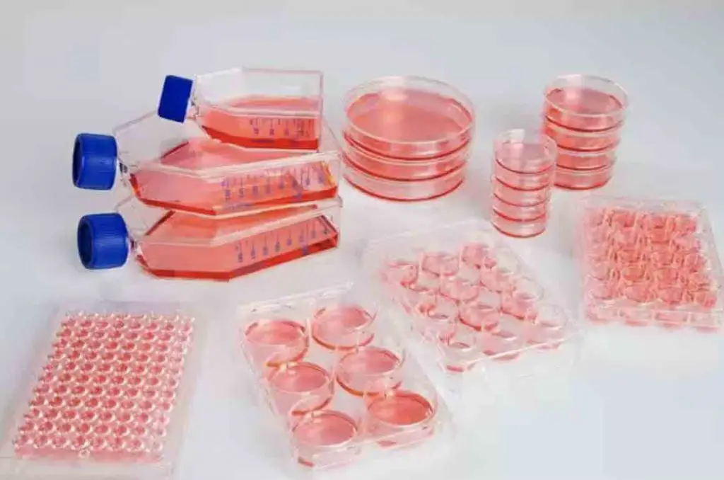 cell-culture-flask-dish-multi-well-plate