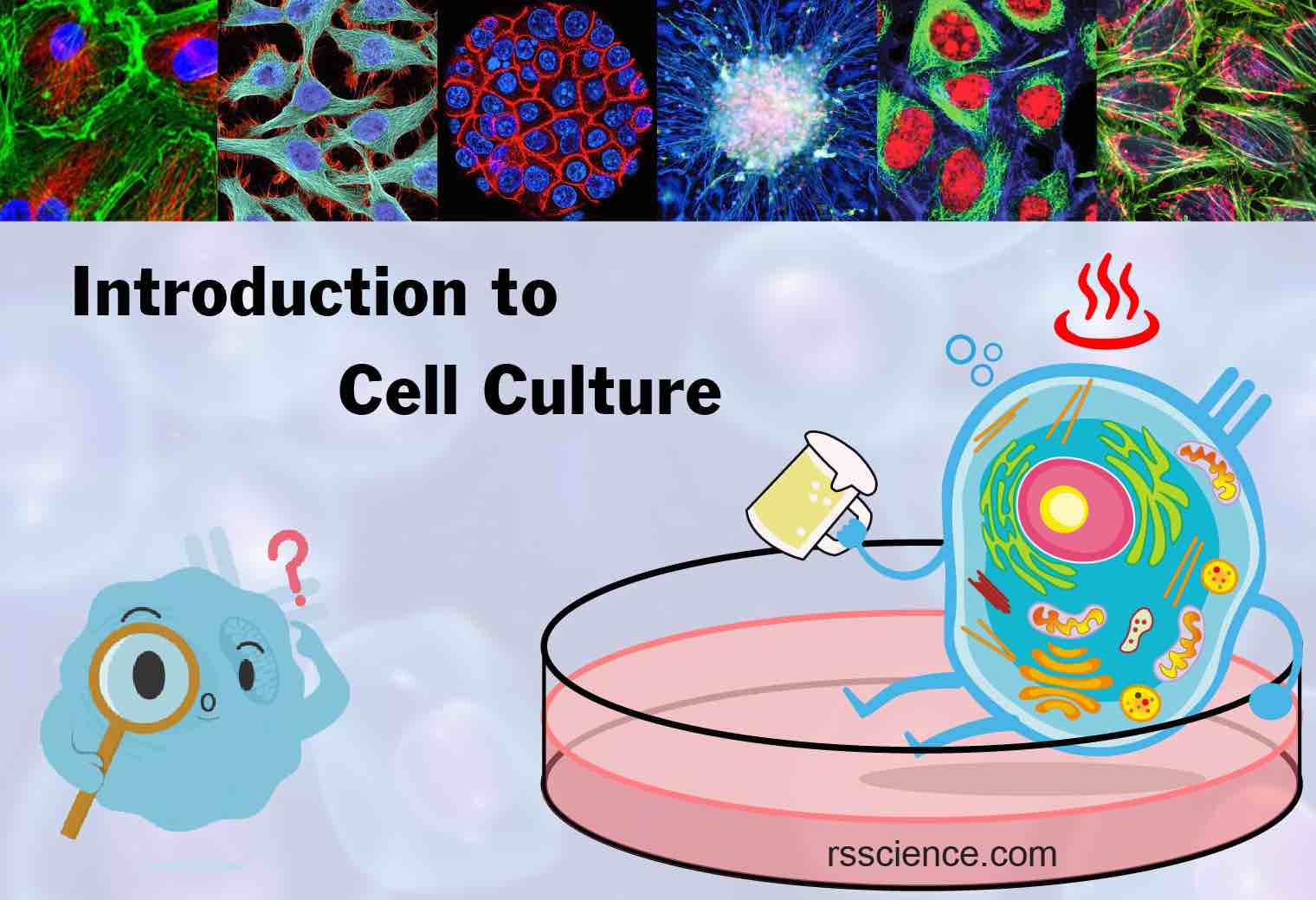 Introduction to Cell Culture – The Foundation of Biotechnology - Rs' Science