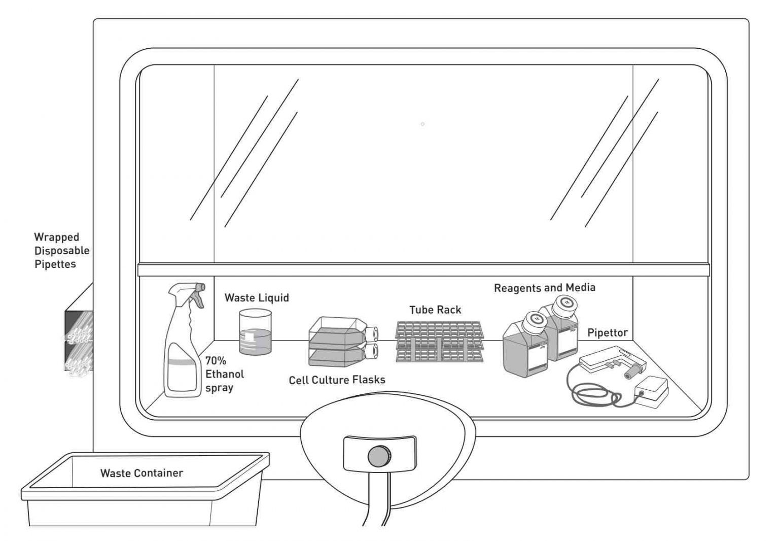 Cell Culture Basics The Foundation of Biotechnology Rs' Science