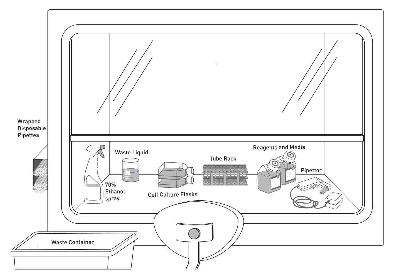 Cell Culture Basics The Foundation of Biotechnology Rs' Science