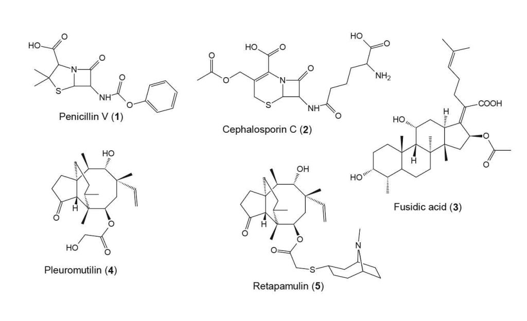 fungal-metabolites-chemical-structure-antibacteria-drug