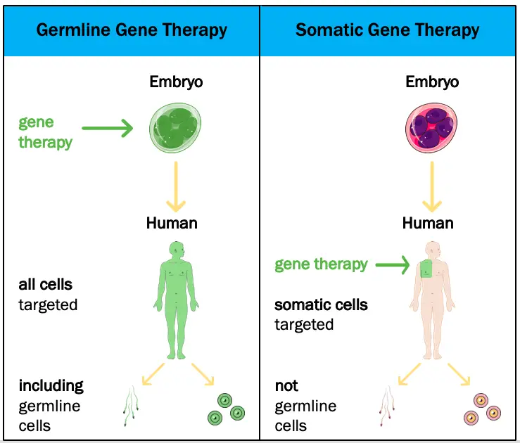 Germline-vs.-Somatic
