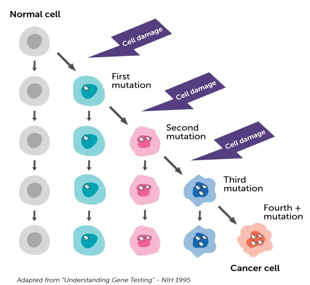 cell-damage-and-cancer