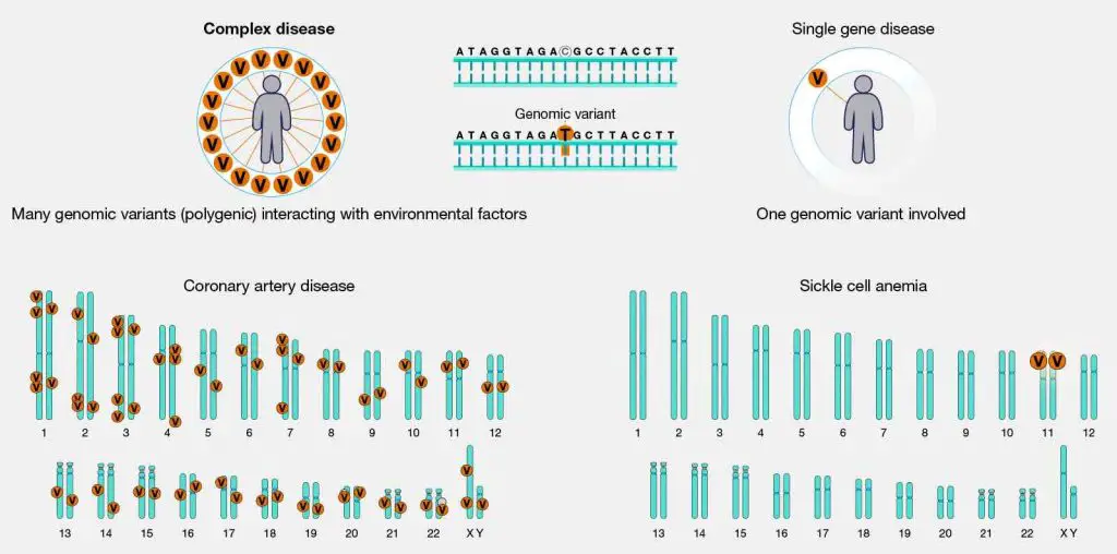 complex-disease-vs-single-gene-disease