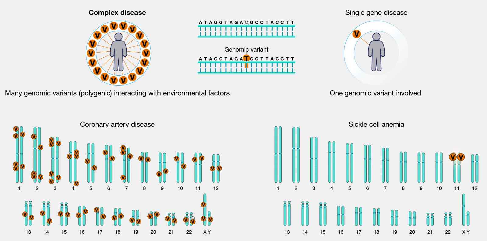 Gene Therapy: A Promising Biotechnology For The Treatment Of Genetic ...