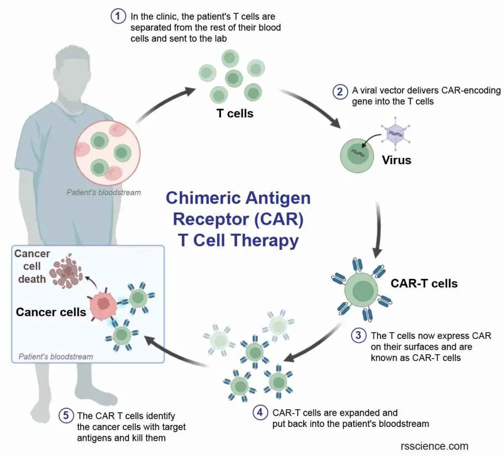 concept-CART-cell-therapy