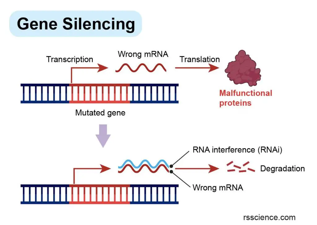 gene-therapy-gene-silencing
