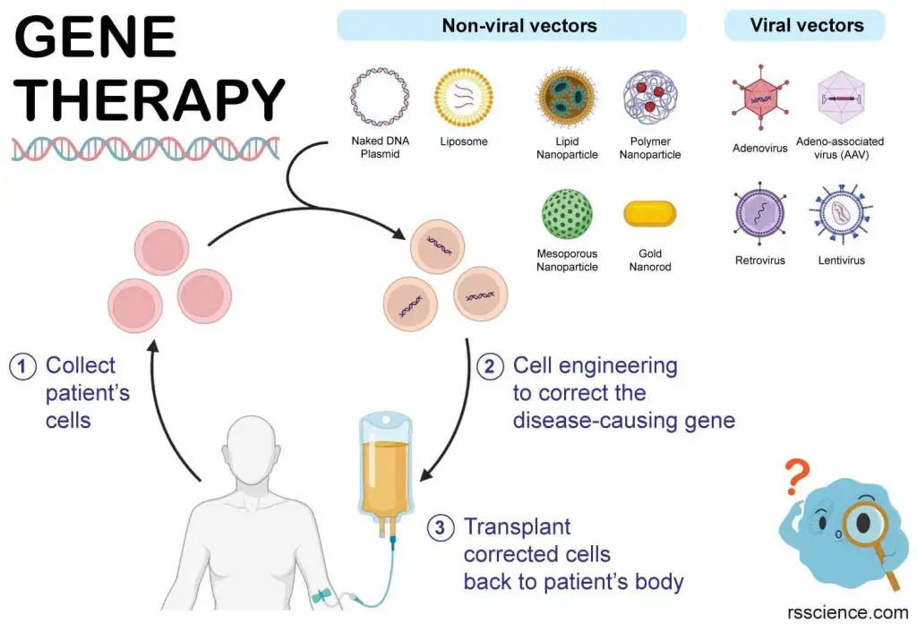 gene therapy introduction genetic disease cancer